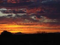 Sunset in the desert